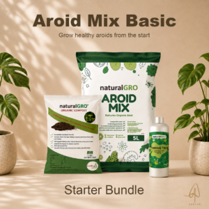 Aroid Mix Basic — Starter Bundle