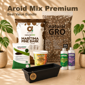 Aroid Mix Premium — The Full Setup (+ Free Planter)