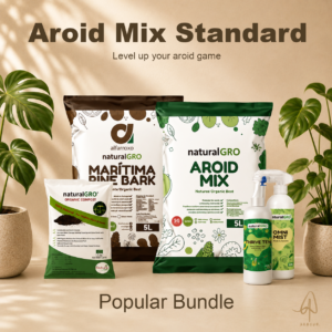 Aroid Mix Standard — Popular Bundle