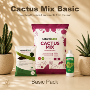 Cactus & Succulent Mix — Basic Pack