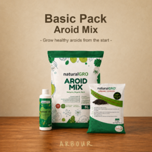 Aroid Mix Basic — Starter Bundle