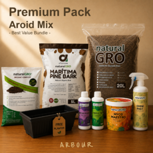 Aroid Mix Premium — The Full Setup*Free Planter