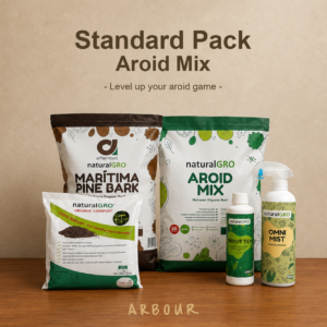 Aroid Mix Standard — Popular Bundle