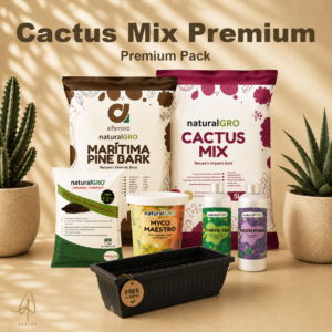 Cactus & Succulent Mix — Premium Pack*Free Planter