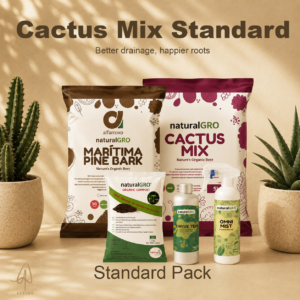 Cactus & Succulent Mix — Standard Pack