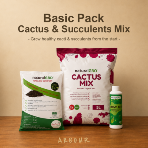 Cactus & Succulent Mix — Basic Pack