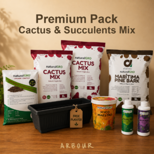Cactus & Succulent Mix — Premium Pack*Free Planter