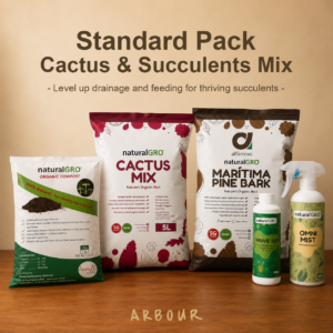 Cactus & Succulent Mix — Standard Pack