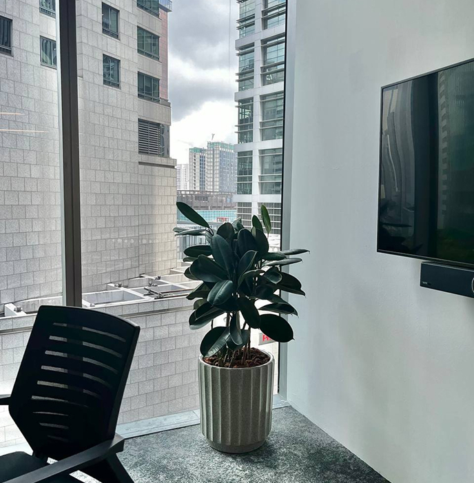 FAQs About Buying Outdoor Plants in Singapore