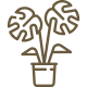 Visit Our Nursery