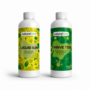 Indoor Glow — Liquid Sun + Thrive Ten