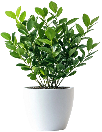 lush-green-plant-white-pot-perfect-home-decor