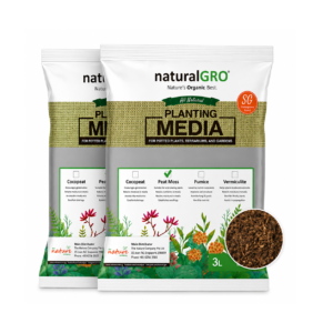 Peat Moss Duo Pack (3L+3L)