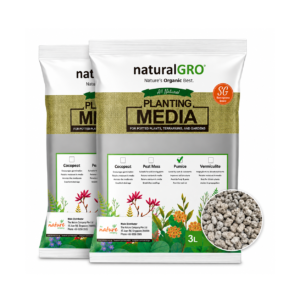 Pumice Duo Pack (3L+3L)
