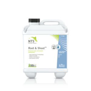 NTS Root & Shoot