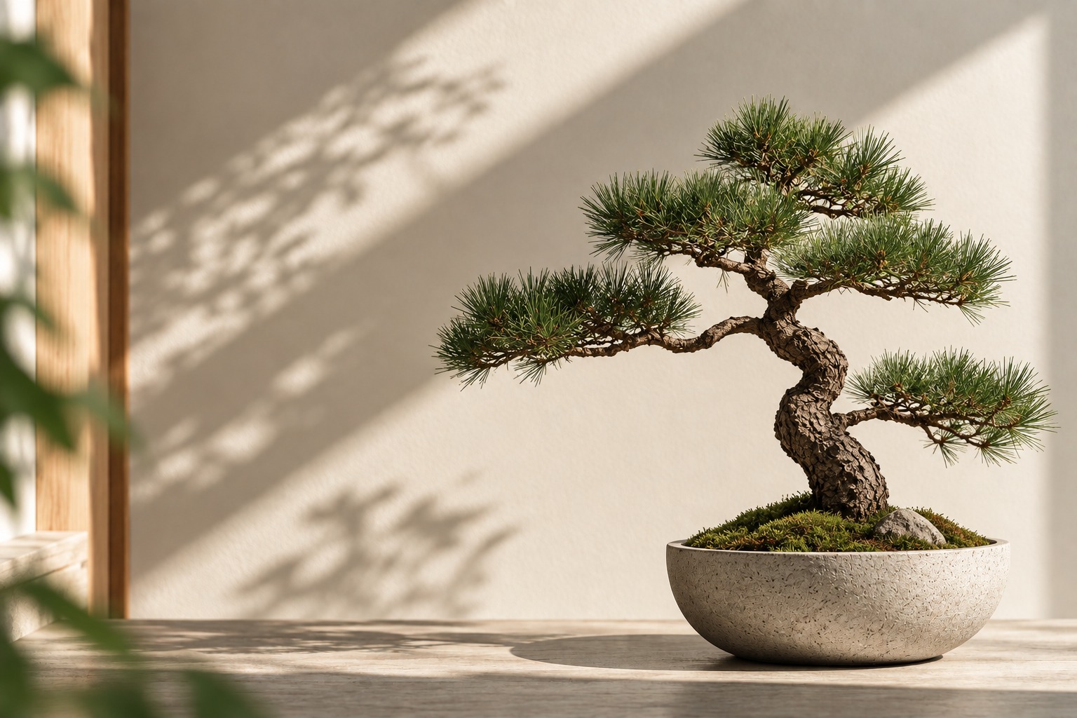 Bonsai tree in a shallow ceramic pot displayed in a bright, modern home interior.