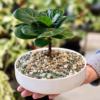 naturalGRO Hydro Mix (5L) - Thumbnail Image 3