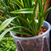 naturalGRO Marítima Pine Bark 5L - Thumbnail Image 4