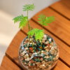 naturalGRO Hydro Mix (5L) - Thumbnail Image 2